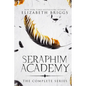 Seraphim Academy: The Complete Series - Paperback