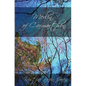 Merlin of Carmarthen - Paperback