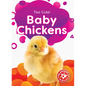 Baby Chickens - Library Binding