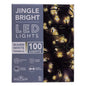 Jingle Bright 100 LED Light Set - Warm White Twinkle - Green Wire