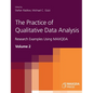 The Practice of Qualitative Data Analysis: Research Examples Using MAXQDA, Volume 2 - Paperback