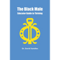 The Black Male Educator Guide to Thriving - Paperback