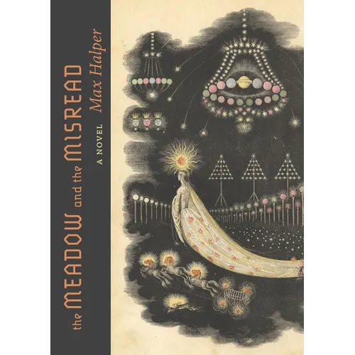 The Meadow and the Misread - Paperback
