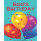 Boo's Birthday: A LIttle Illustrators Book - Paperback