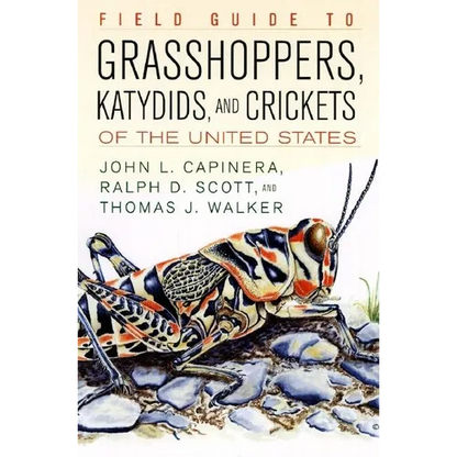 Field Guide to Grasshoppers, Katydids, and Crickets of the United States - Paperback