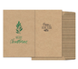 Winter Birch Boxed Cards – Kraft Pine & New Year Duo