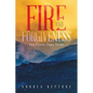 Fire and Forgiveness: The Cindy Ames Story - Paperback