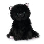 Xavier  Kitten