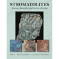Stromatolites: Ancient, Beautiful, and Earth-Altering - Paperback