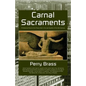 Carnal Sacraments, a Historical Novel of the Future, 2nd Edition - Paperback