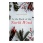 At the Back of the North Wind: Christmas Classic - Paperback