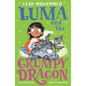 Luma and the Grumpy Dragon: Book 3 - Paperback