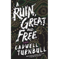 A Ruin, Great and Free - Hardcover
