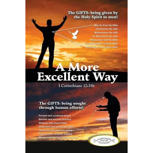 A More Excellent Way - Paperback
