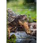 Peace the Elusive - Paperback