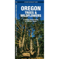 Oregon Trees & Wildflowers: A Folding Pocket Guide to Familiar Plants