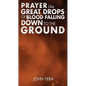 Prayer Like Great Drops Of Blood Falling Down To The Ground - Paperback
