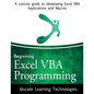 Beginning Excel VBA Programming: A concise guide to developing Excel VBA Applications and Macros - Paperback