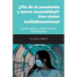 ¿Fin de la pandemia y nueva normalidad? Una visión multidimensional: Gerardo Vázquez y Antulio Sánchez (Coords.) - Paperback