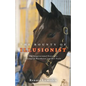 The Bounty of Illusionist: The inspirational story of a champion racehorse and her foals - Paperback
