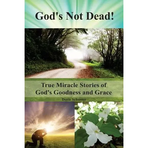 God's Not Dead!: True Miracle Stories of God's Goodness and Grace - Paperback