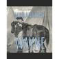 Mad Anthony Wayne: The Life and Legacy of the Famous Revolutionary War General - Paperback