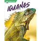 Iguanas - Library Binding