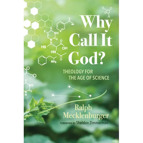 Why Call It God?: Theology for the Age of Science - Paperback