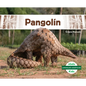 Pangolin (Pangolin) - Library Binding