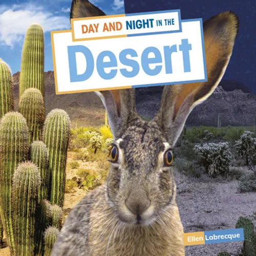 Day and Night in the Desert - Hardcover