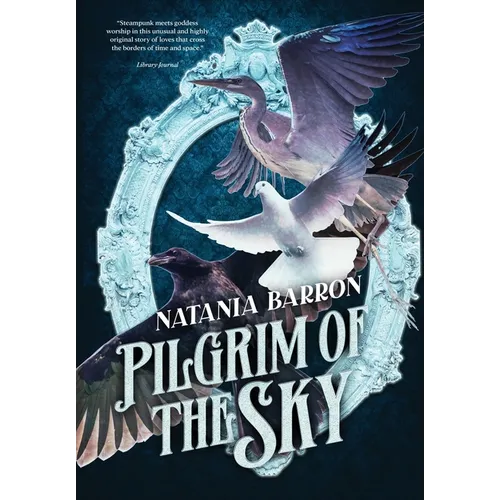 Pilgrim of the Sky - Hardcover