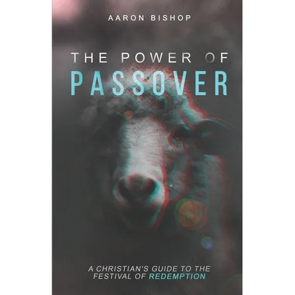 The Power of Passover: A Christian's Guide to the Festival of Redemption - Paperback