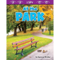 At the Park - Library Binding