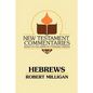 Hebrews: A Commentary on the Epistle to the Hebrews - Paperback