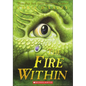 The Fire Within - Hardcover