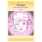 Wild Rose: & Other Poems Sung by the Window - Paperback