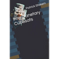 Interplanetary Cubesats - Paperback