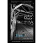 Trace: A Joe Gunther mystery - Paperback