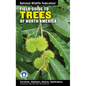 National Wildlife Federation Field Guide to Trees of North America - Paperback
