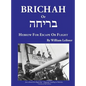 Brichah: (Hebrew for Escape or Flight) - Hardcover