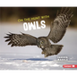 On the Hunt with Owls - Paperback