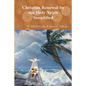 Christian Renewal by the Holy Spirit Simplified - Paperback