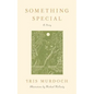 Something Special: A Story - Paperback