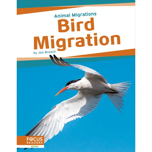 Bird Migration - Paperback