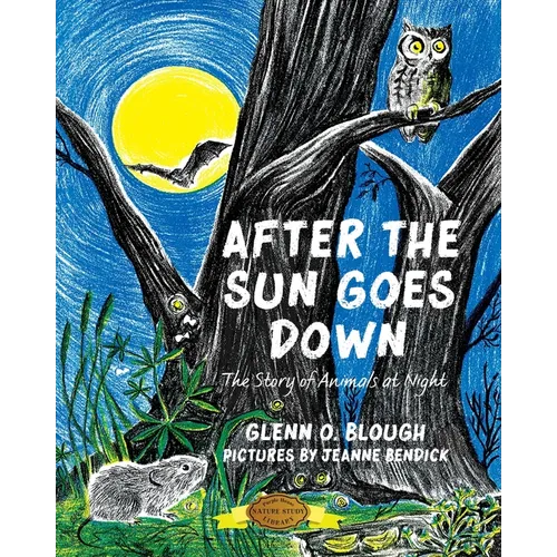 After the Sun Goes Down - Paperback