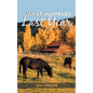 What Happened Last Year - Paperback