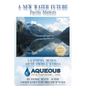 A New Water Future: Pacific Markets California, Mexico, South America, & China - Paperback