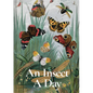An Insect a Day - Hardcover