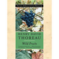 Wild Fruits: Thoreau's Rediscovered Last Manuscript - Paperback