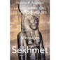La armonización de las polaridades: Mensajes de Sekhmet - Paperback